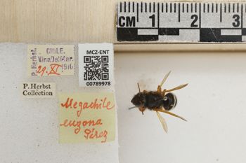 Media type: image;   Entomology 789978 Aspect: Labels